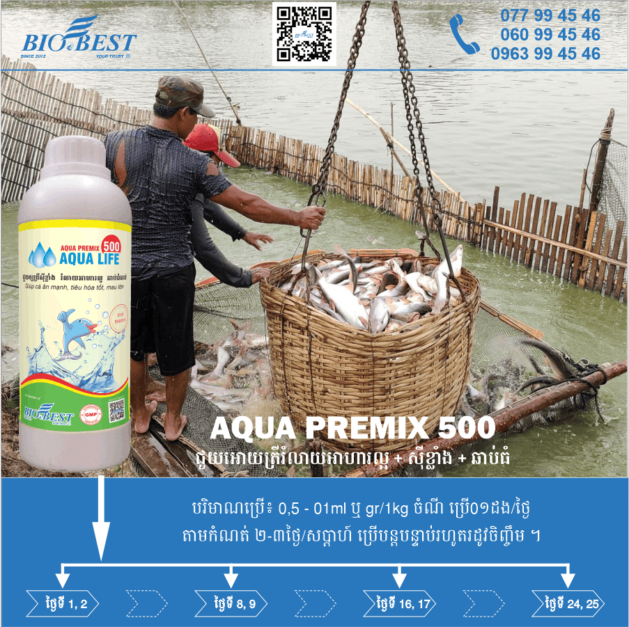 BIOBEST Co., Ltd.