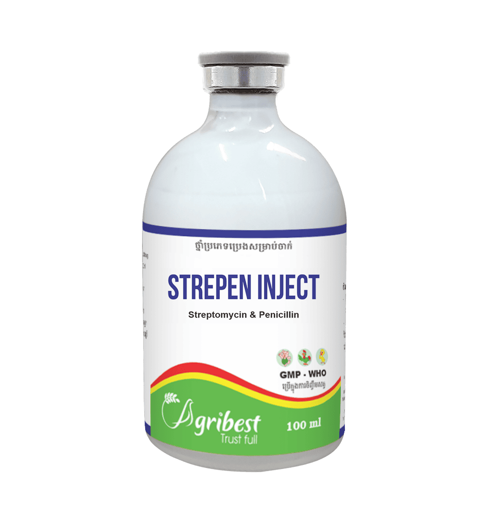 BIOBEST Co., Ltd.