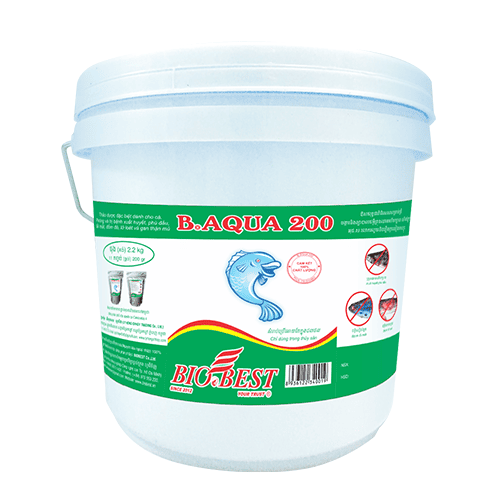 BIOBEST Co., Ltd.