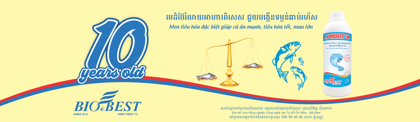 BIOBEST Co., Ltd.