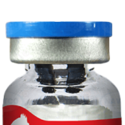 វ៉ាក់សាំង NEWCASTLE - F