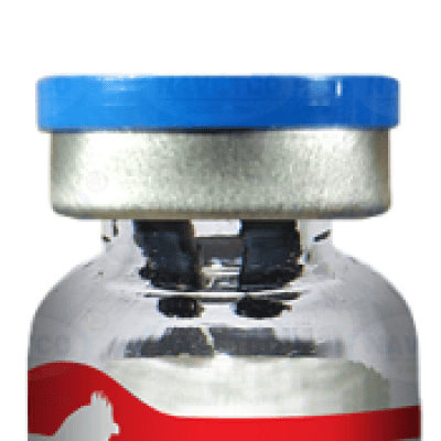 វ៉ាក់សាំង NEWCASTLE - LASOTA