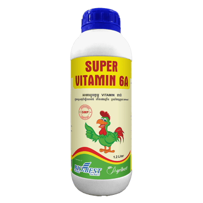 Super Vitamin 6A